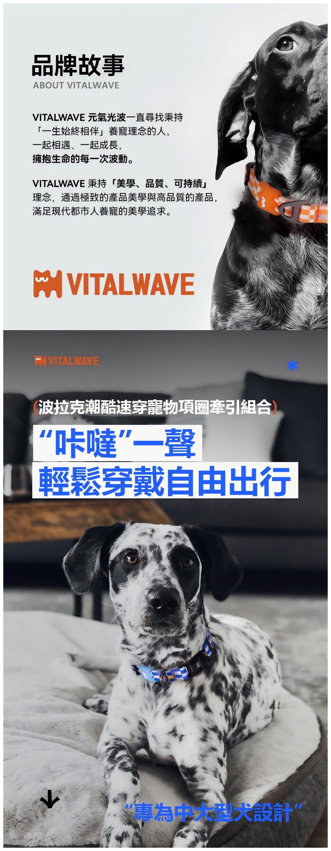 VITAL WAVE 波拉克磁吸扣項圈